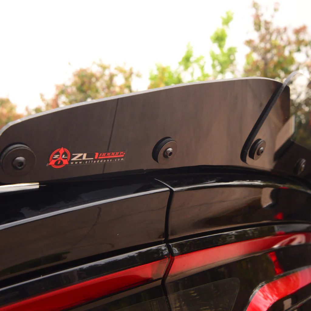 Charger 15-23 SRT Stealth Wicker Bill - Image 5