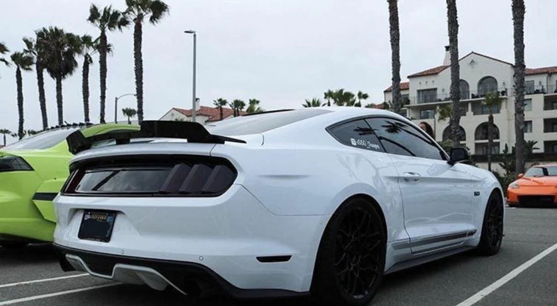 Mustang 16-18 Cali Special Wicker Bill - Image 3
