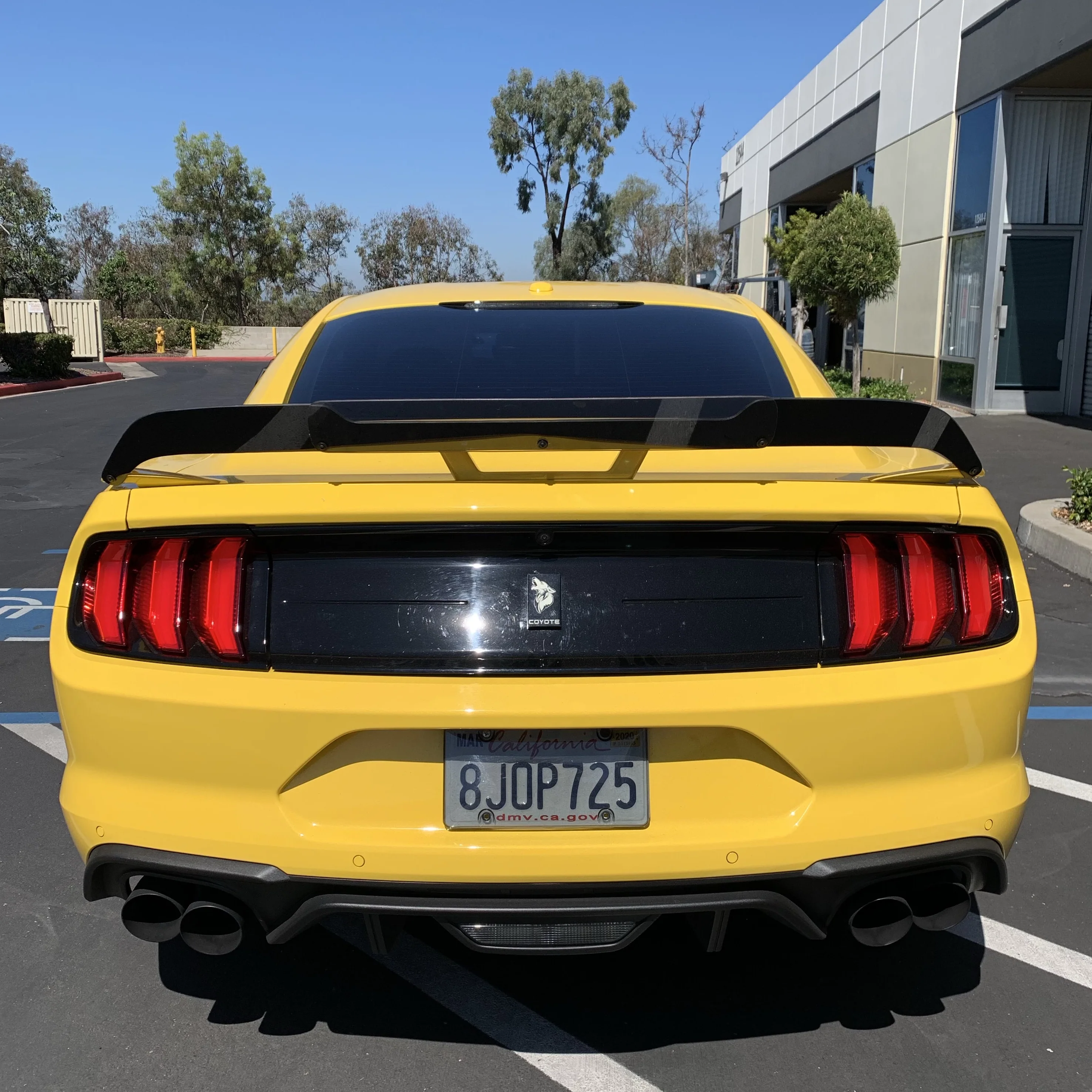 Mustang 18-23 Performance Pack Wicker Bill - Image 3